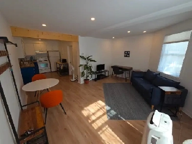 Mignon appart, une chambre,  rue Logan, Village, Image# 1