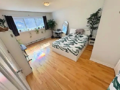 Spacious Room w/ Private Bath Downtown - Nov 1st Image# 1