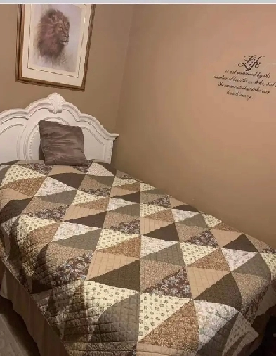 Student room rental near Mohawk college $775/month Image# 7