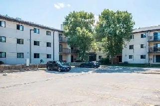 looking for one roommate in 2-bedroom apartment Image# 1