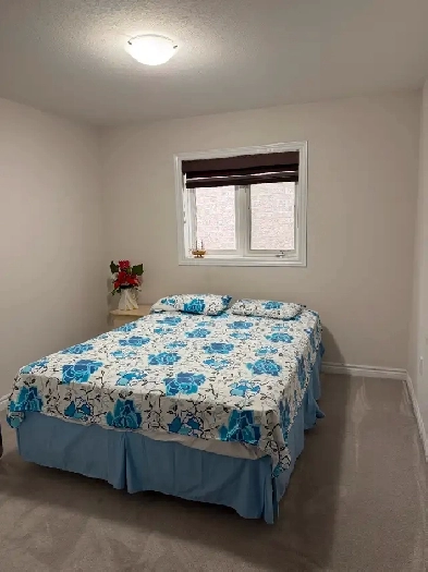 Private room for rent for vegetarian girl in brampton Image# 1