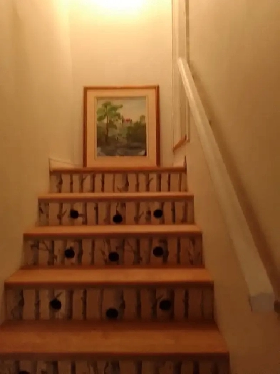 4 et demi entièrement  meublé près métro Cadillac Image# 1