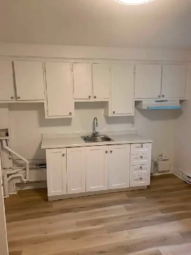 Grand 4 1/2 à louer (au rez de chaussée près de métro Pie-IX) Image# 1