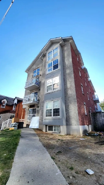 Room for rent - Kingston Downtown Image# 1