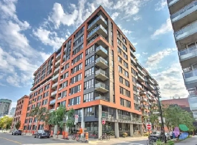 Appartement 1 cac Griffintown/Centre ville libre immédiatement ! Image# 1