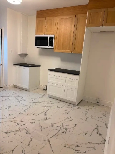 3 1/2 plateau 1 mois gratuit face au parc baldwin Image# 1