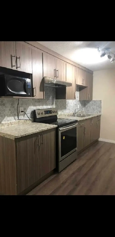 Basement  for rent - Panorama Hills - Available Immediate Image# 10