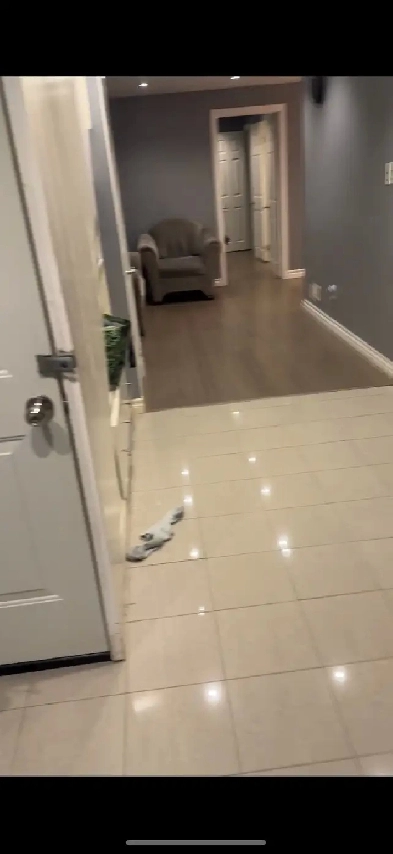 ONE BEDROOM PRIVATE BASEMENT FOR RENT Image# 1