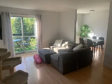 Grand 4 1/2, avec 2 Chambres fermées, balcon, 5 electros inclus Image# 1