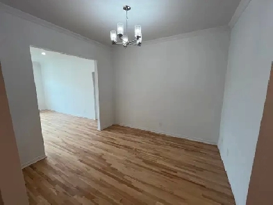 LARGE BRIGHT 5½, 2 BEDROOM APT. PARK AVENUE MILE-END/PLATEAU Image# 1