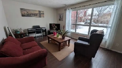 Rent Single Room 750 Image# 1