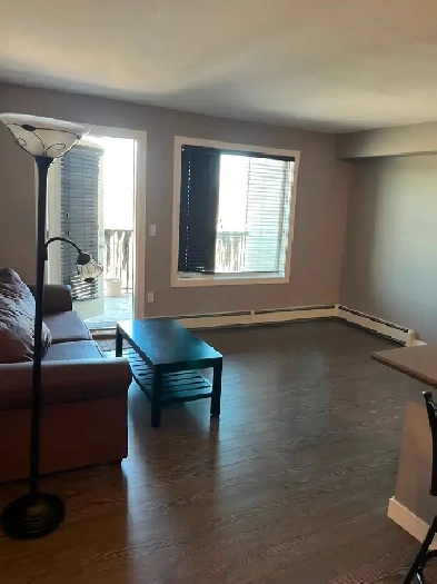 Condo for Rent! Weyburn Image# 4