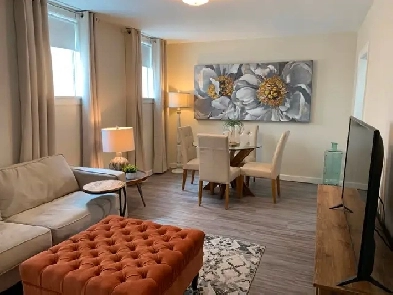 Southside furnished one bedroom basement suite for one Image# 3