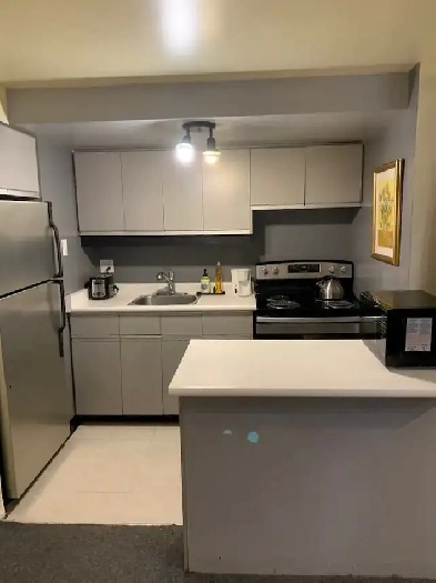 NOW -1 bdrm fully furnished bright basement apartment at subway Image# 6
