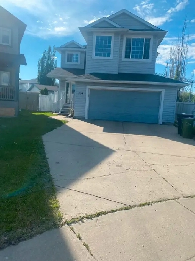 Large 1 Bedroom Basement Suite – Ellerslie Image# 1