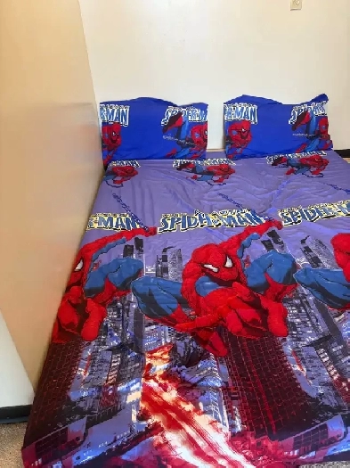 one bedroom for rent only for girl Image# 1