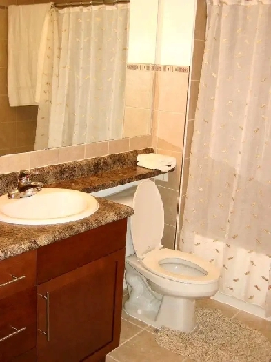 GREAT DEAL: Downtown waterfront 950 sq ft. Condominium Image# 1