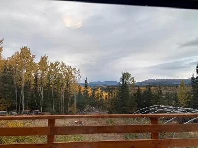 1 bedroom 1 bath for rent Image# 1