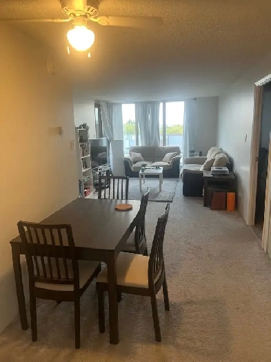 roommate wanted - 1 room with ensuite - Saskatchewan Dr Image# 4