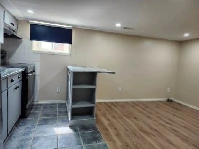 JUST RENOVATED-Spacious 1 Bedroom Apt.–October 1st–Courtland/Ott Image# 3