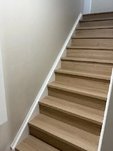newly legal basement for rent Image# 2