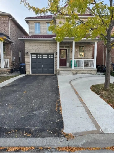 One Bedroom Finished Basement For Rent Image# 1
