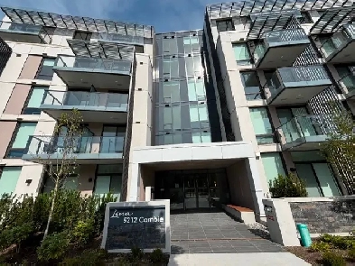 Brand New Studio Apartment for Rent 5125 Cambie St Vancouver Image# 5