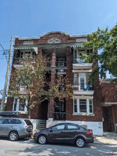 Appartement Plateau  Mont-Royal 5 1/2   sous-sol fini et jardin Image# 1