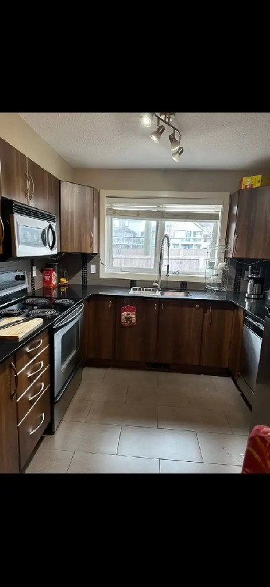 Roommate,: / 1 bedroom with private bathroom Image# 5