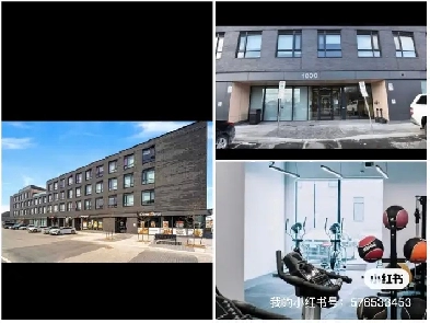 condo looking for roommates Image# 1