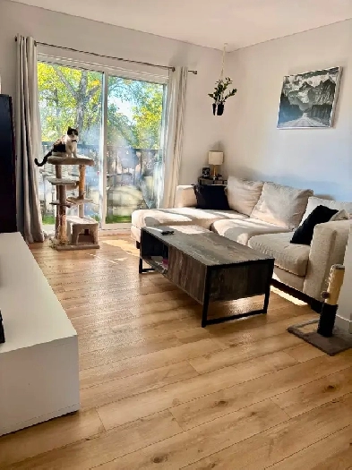 Appartement 4 et demi à louer Image# 2