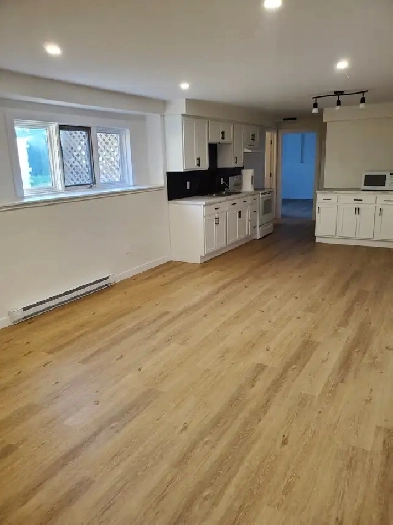 1 Bedroom Basement Apartment 4 Rent All inclusive Beaver Bank Image# 1