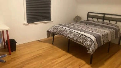 Roommate wanted for short time stay,all incl.near U of A Image# 5