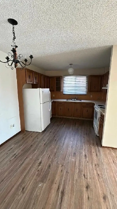Apartment For Rent ( Oct 1st ) text or call for a viewing Image# 4
