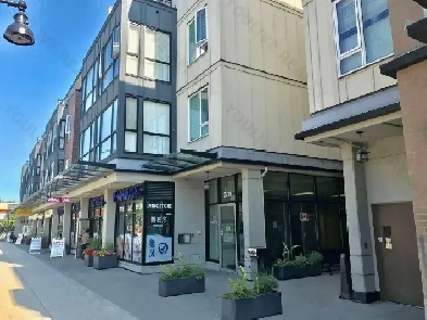 1 bedroom for rent Kingsway & Nanaimo Image# 1
