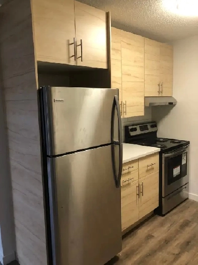 10426 84 Ave -  Renovated 1 bedroom -  Whyte Ave Loc - Inc Power Image# 3