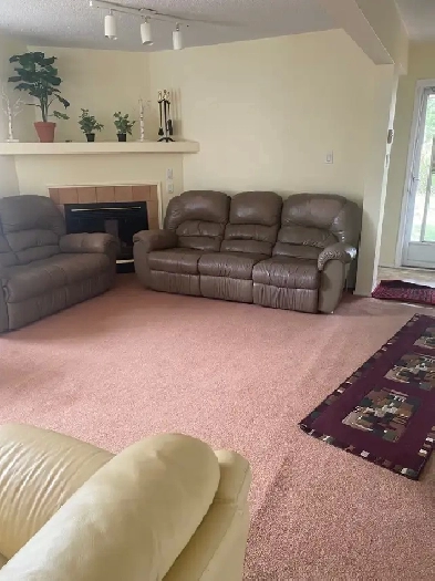 Well furnished rm with smart TV in ottewell@300/wk Image# 4
