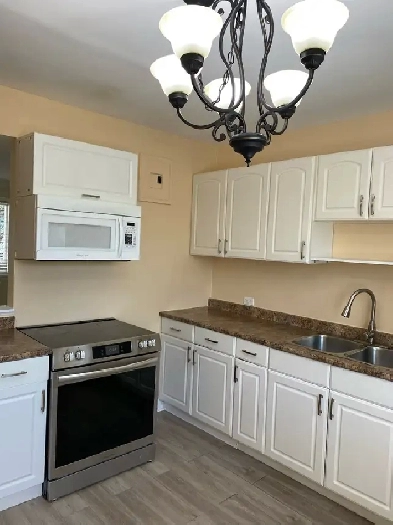 2 bedrooms apartment for rent Image# 4