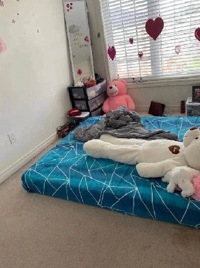 Separate Room for Girls Image# 7