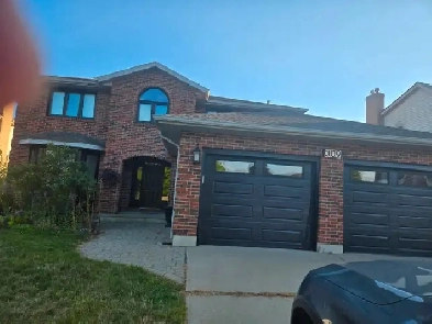 House for rent 4  basement apartment Image# 8