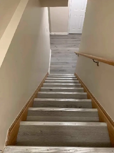 2 Bedroom Basement for rent Image# 1
