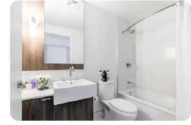 Fully Furnished Suite in Downtown Image# 2
