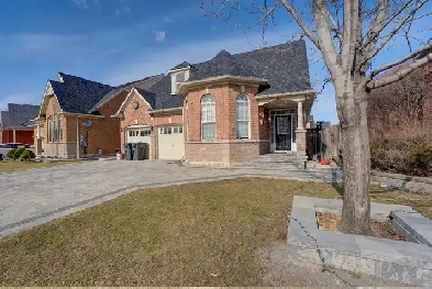 BASEMENT FOR LEASE - 1 BEDROOM   DEN ( AIRPORT & BOVAIRD  ) Image# 3