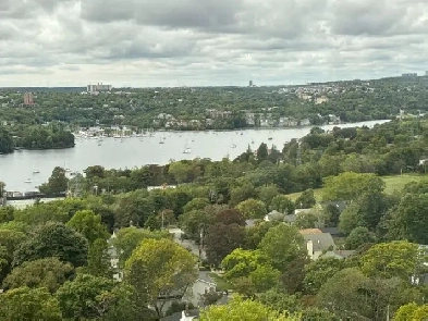 BEAUTIFUL 1 BR CONDO, A1 VIEW NEAR DAL & KING'S COLLEGE  $314100 Image# 1