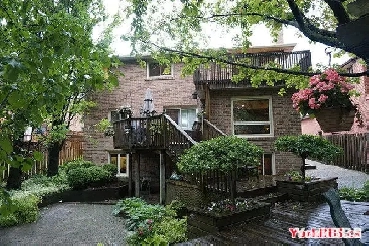 two bedroom basement apartment  near Leslie & Steeles Image# 1