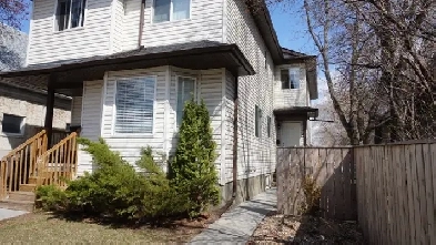 1 bedroom basement suite for rent. Image# 1