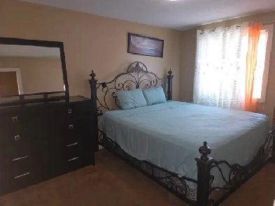 Room for rent Image# 5