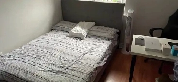 Room for Rent near Dal Image# 1