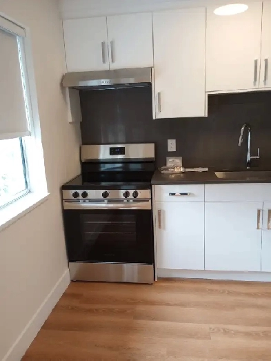 New Fully Renovated 1 Bdrm apartment for rent.  Rent is $1,550 Image# 6
