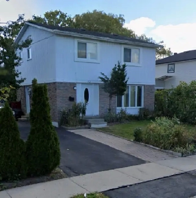 2 bedroom basement apartment (females only) Image# 1